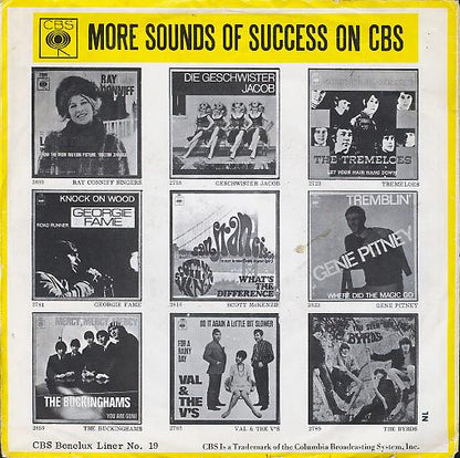 Anita Harris : The Playground (7", Single)