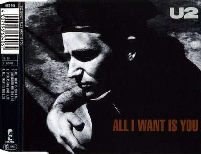 U2 : All I Want Is You (CD, Single)