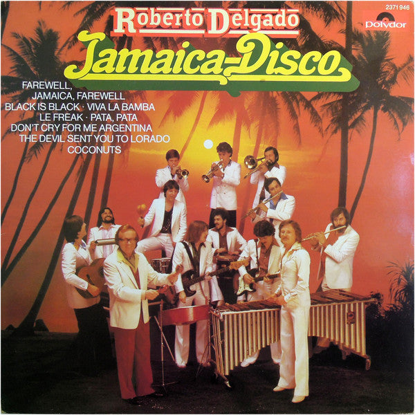 Roberto Delgado : Jamaica-Disco (LP, Album)