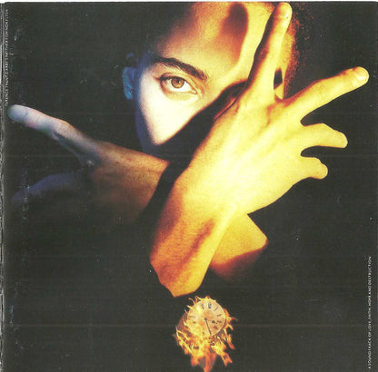 Terence Trent D'Arby : Terence Trent D'Arby's Neither Fish Nor Flesh: A Soundtrack Of Love, Faith, Hope, And Destruction (CD, Album)